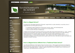 SA Website Before