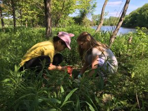 Planting Trees