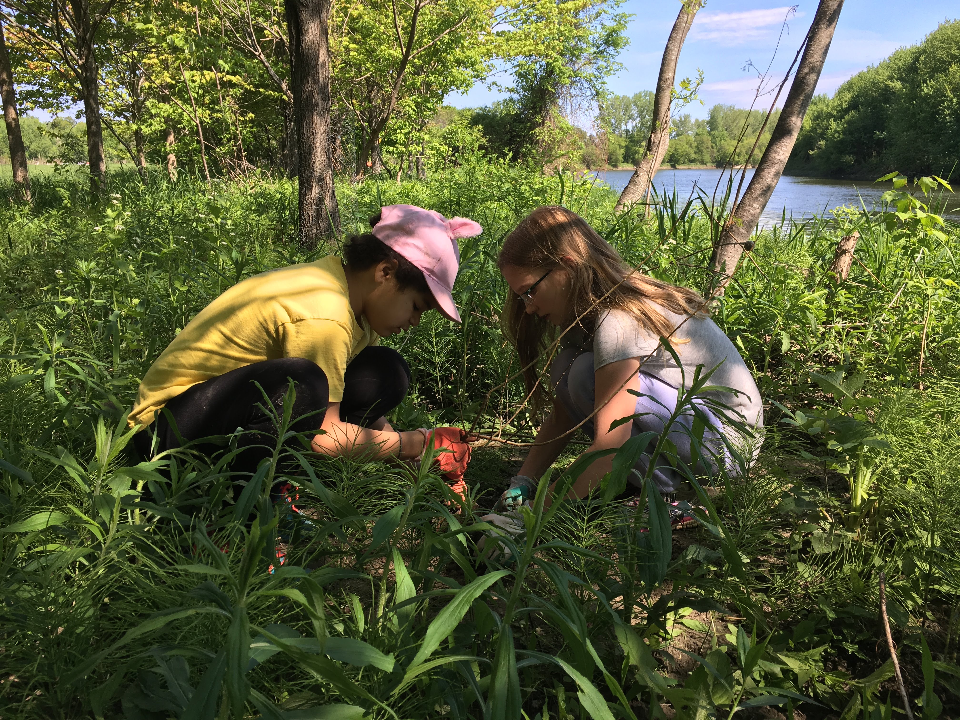 Planting Trees Planting Trees