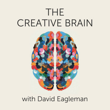 The Creative Brain