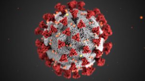 Image of Coronavirus Under Microscope