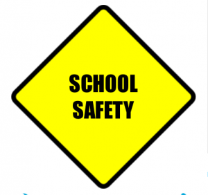BSD School Safety Task Force Application