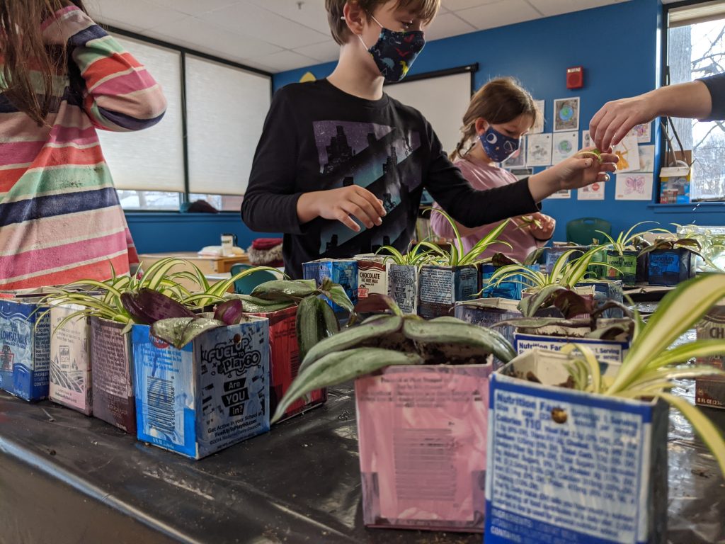 students planting