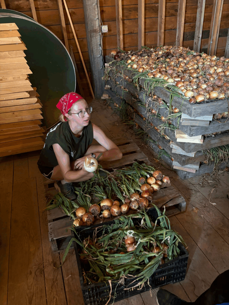 student surrounded by thousands of onions
