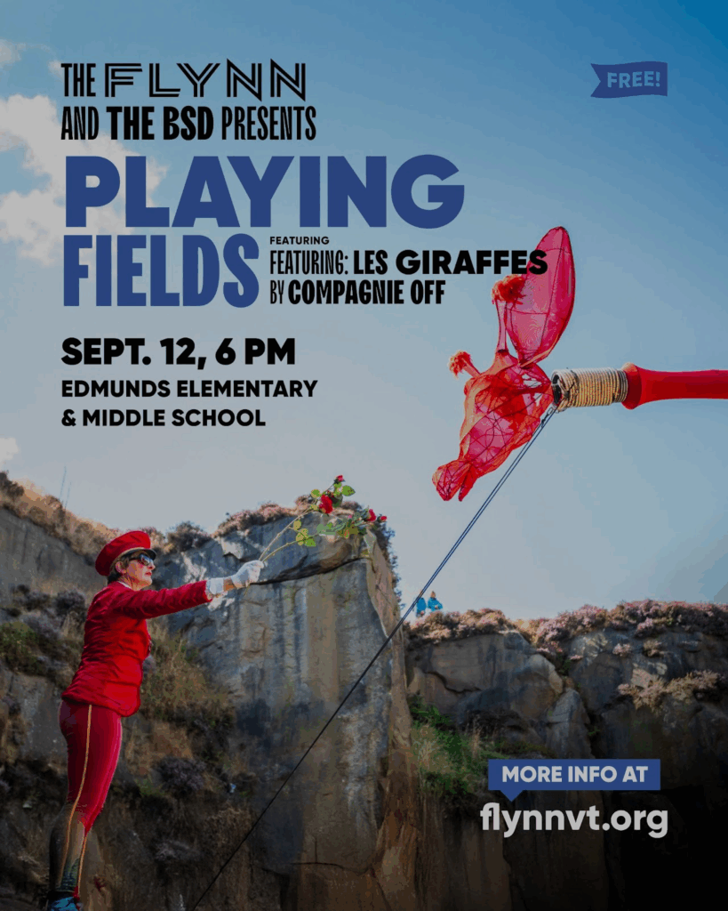 Image of the Playing Fields poster
