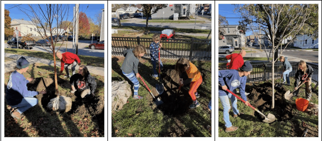 Three photos of students planting trees!